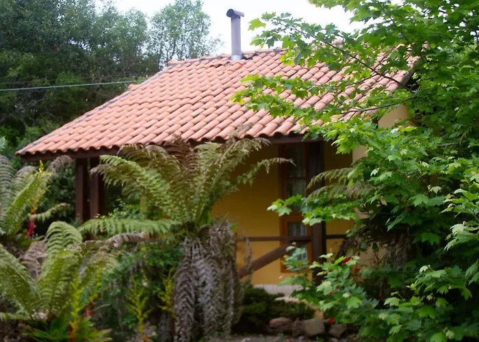 Café e Cabanas Lenha no Fogo